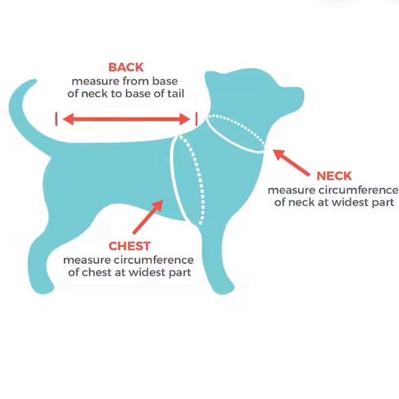 Thing 1 Thing 2 Dr. Seuss pet costume dog or cat - Picture 6 of 8